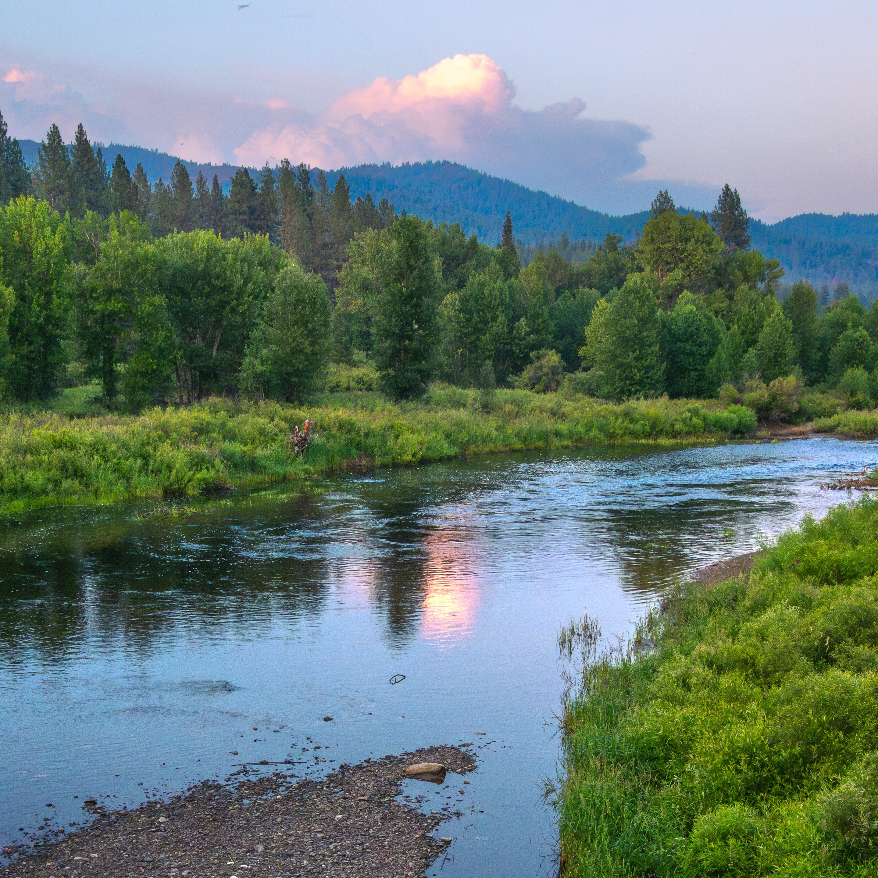 Wild and Scenic Rivers with Friends of Plumas Wilderness - logo